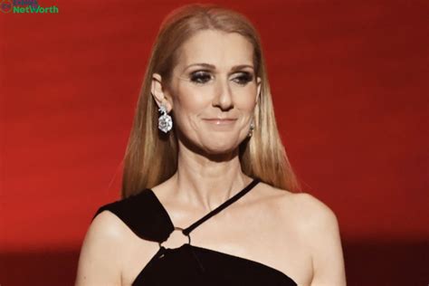 celine worth|celine dion salary.